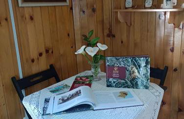 Quintal das Araucárias hospedagem - Foto 45