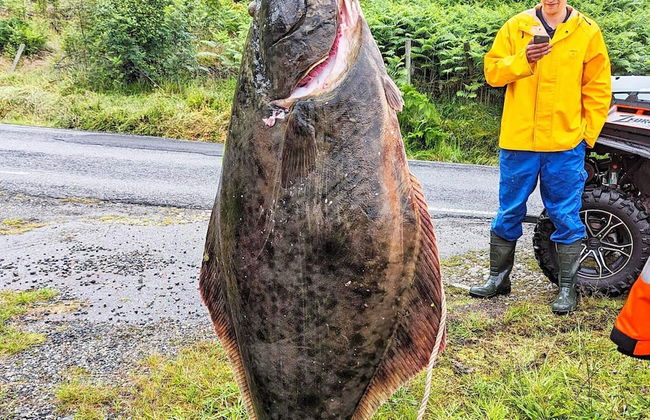 6 Person Holiday Home in Hardbakke - Foto 8