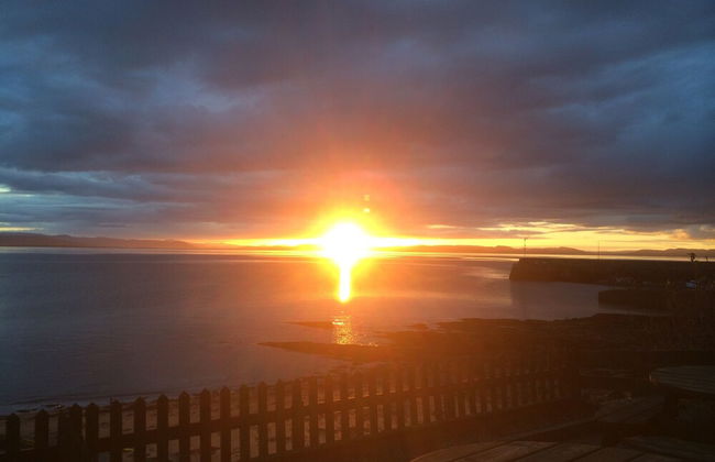 Petfriendly-beachfront-sunsetfacingsunporch-garden - Foto 22