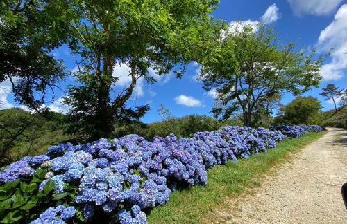 Ty Lora - Isolée en bord de mer - Foto 41