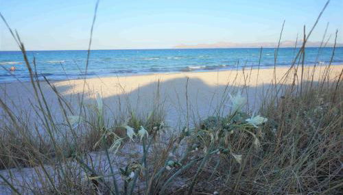 Belle Maison proche plage - Foto 4