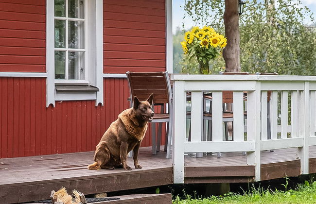 Tuomaantupa - Foto 11