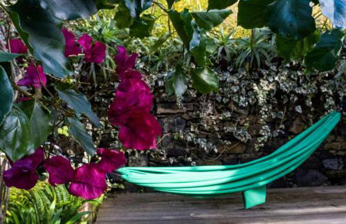 Casa Villa Cottage - Photo 10