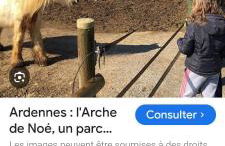 La Rose du Bel Homme - Foto 17