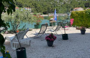 Apartman OZANA - Photo 31