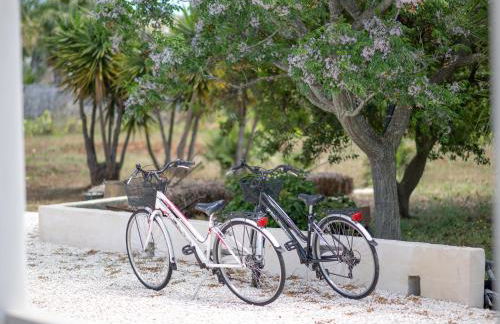 Villa Myricae by BiancoPugliaVacanze - Photo 19