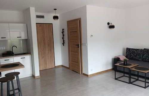 Wczasy Chmielno Apartament PUDROWY - Foto 50