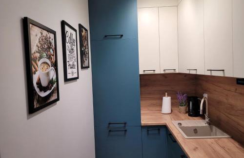 Apartament z basenem i jacuzzi KARMELOWY NA DOLNEJ Green Park Resort A13, ul DOLNA 7A - Foto 4