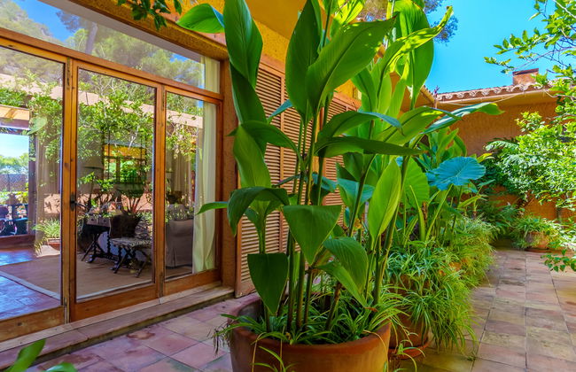 Finca L'Embat - Foto 36