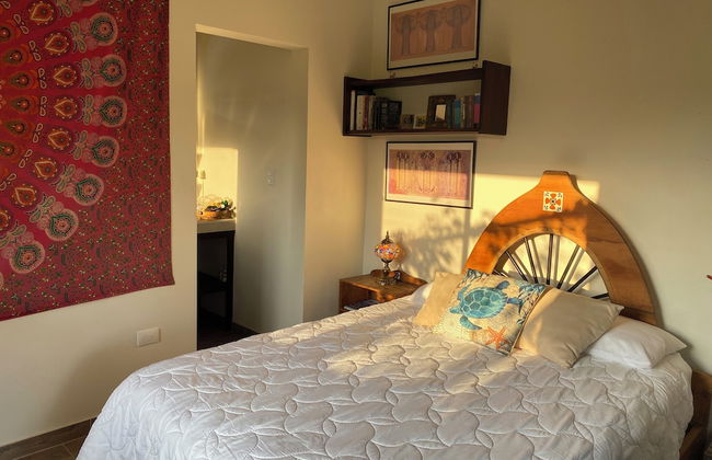 Morning Glory - Foto 5