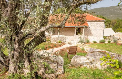 Olive Garden - Foto 24