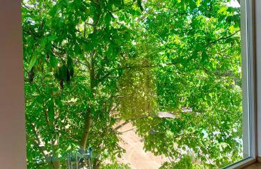 Apartament orzechowy superior - Foto 1