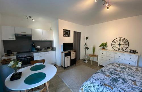 Studio Chaleureux Tout équipé - Wifi - Parking gratuit - Proche de la Nature - Foto 19