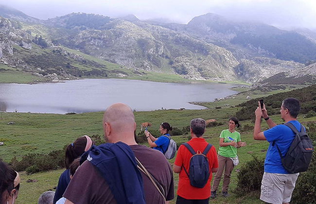 Excursion aux lacs de Covadonga en petit groupe - Photo 6