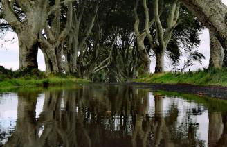 Doughery Den The Dark Hedges Hideaway - Foto 53