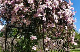 Elberry Farm - unique seaside farmhouse - Foto 17