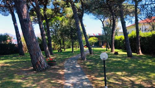 Sergiunca - Foto 4, Garden