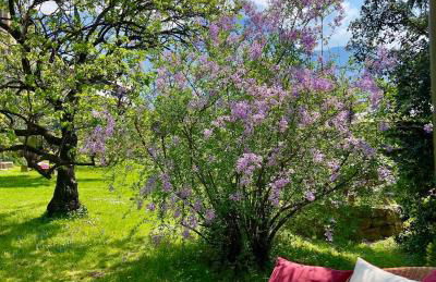 Hotel Gartenresidence Zea Curtis - Foto 47