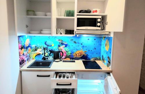 Blue Mare Apartamenty U Tomka - Foto 14