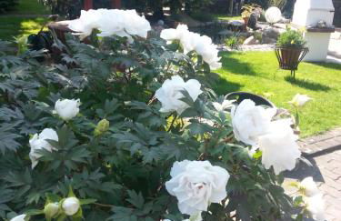 Apartment Dietze - Foto 7