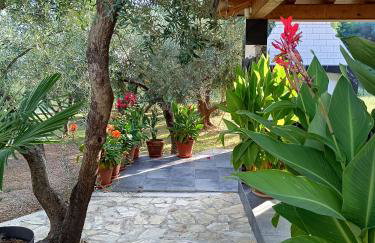 Olive Garden Beachside Hideaway - Photo 28