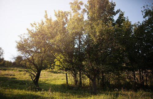 Pasieka - Dom Wypoczynkowy - Foto 50