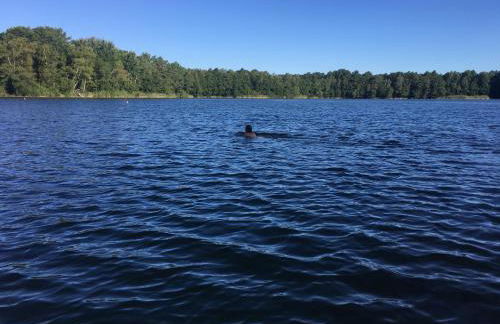 Ferienhaus Wald und Seeidylle, nahe Badesee, Spreewald, Berlin - Foto 9