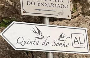 Quinta do Sonho - Foto 32