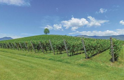 Loggia Dal Lago - Foto 24