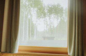 Miło las widzieć - Foto 26