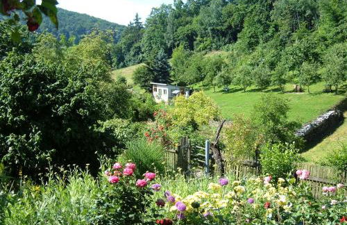 Ferienwohnungen "allerleigrün" - Foto 1