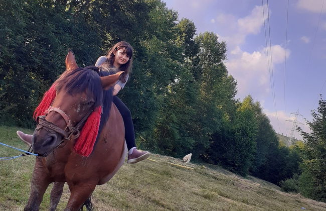 Room in Guest Room - Healthy Retreat Holiday in Mountain - Foto 30