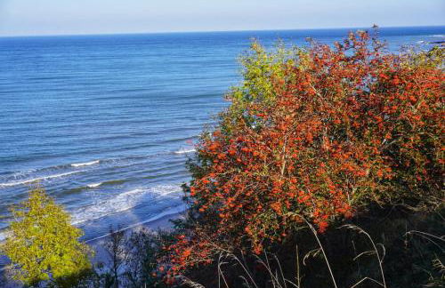 Frühlingserwachen im Haus Wassermann - Foto 36