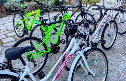 Villa Maremonti - con 3 piscine - Foto 19