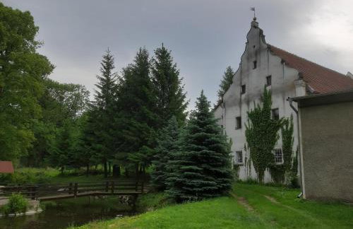 Lipowy Dwór - Foto 16
