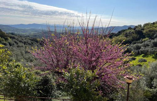 Caldana "La Perla della Maremma" - Foto 32