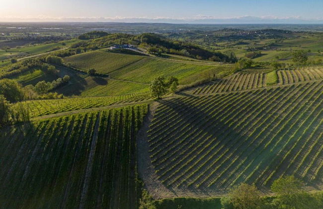 Spacious Hillstay, Piedmont - Foto 40