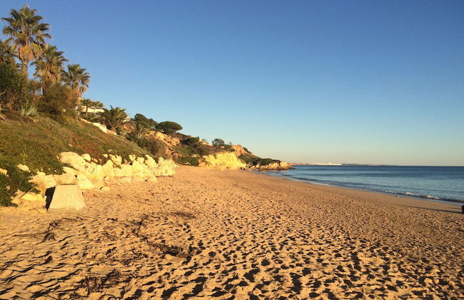 Bicos 101 CIP - Foto 32