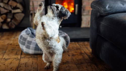 3 Bedroom Pembrokeshire Cottage - Beaches, Coastal path walks, Castles nearby - Foto 5