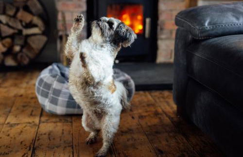 3 Bedroom Pembrokeshire Cottage - Beaches, Coastal path walks, Castles nearby - Foto 5