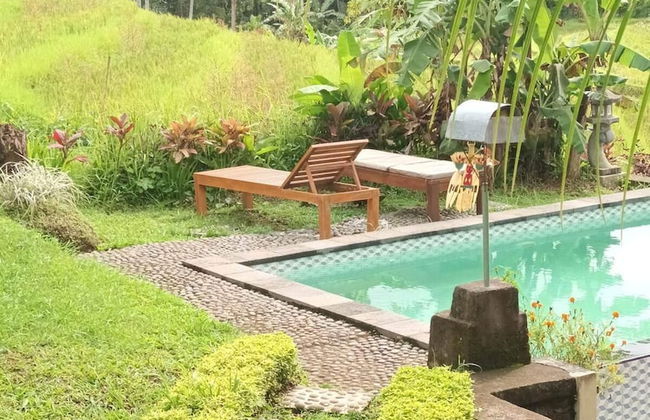 Balitrees Retreats - Foto 10