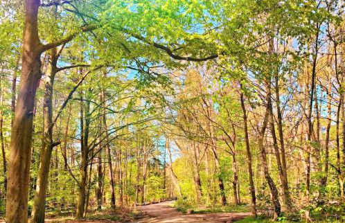 Ferienwohnungen Haus Sommerlust - Foto 44