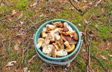 "Sielski Zakątek" - domek całoroczny - Foto 36