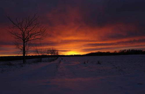 Hill-view Holiday Home in Dankerode near Lake and Hiking - Foto 52