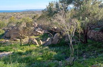 Kirù Lovely Home - Villa Su Cuile, Cala Ginepro - Foto 39