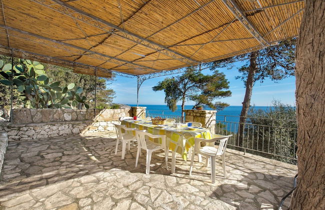 Pajara Acquaviva - Foto 1