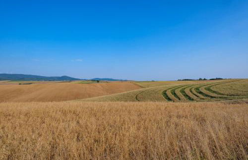 VILLA DI CAMPAGNA 10 POSTI CON PISCINA PRIVATA - Foto 58