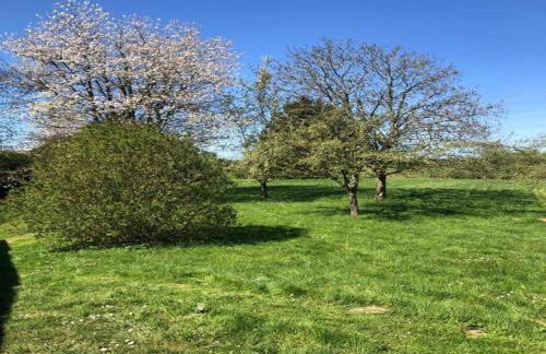 Holiday Home in Grand Est - Foto 17