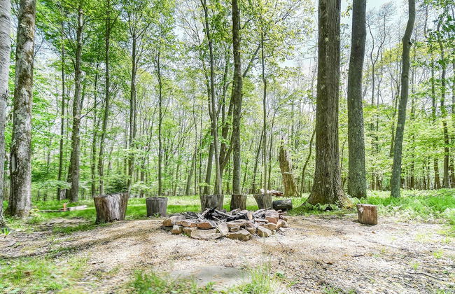 Lincoln Log Cabin - Foto 23