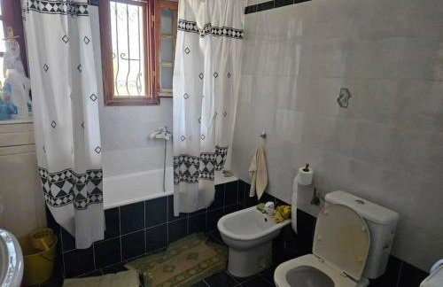 Ελαιώνας με θέα στο βουνό - Foto 2